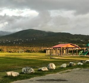 Soccer Field image 3