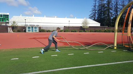 Soccer Field image 1