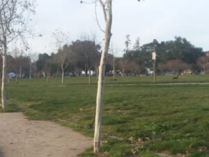 Soccer Field image 1