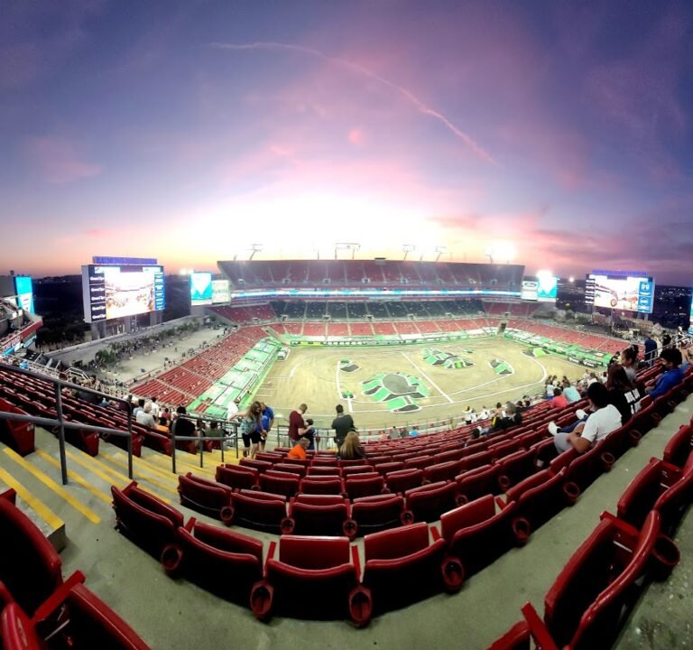 Soccer Field image 2