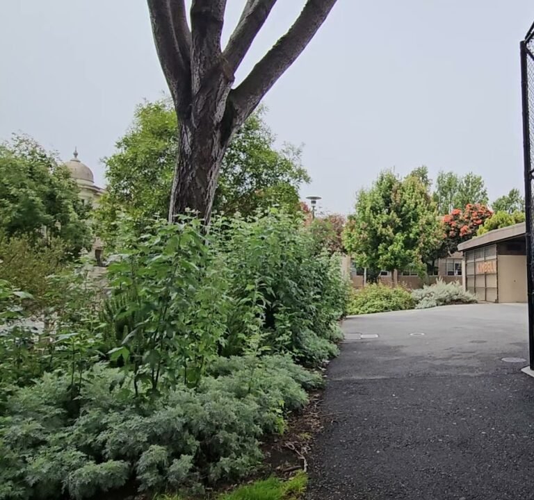 Soccer Field image 4