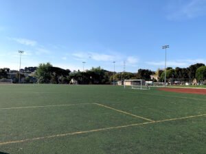Soccer Field image 1