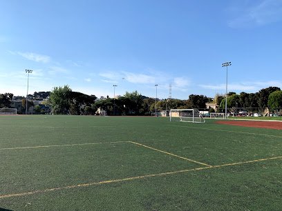 Soccer Field image 1