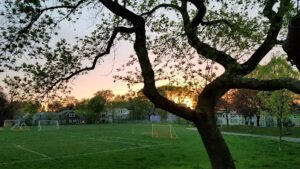 Soccer Field image 1