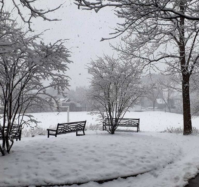 Soccer Field image 2