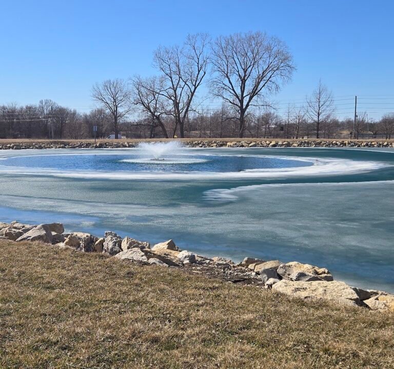 Soccer Field image 3