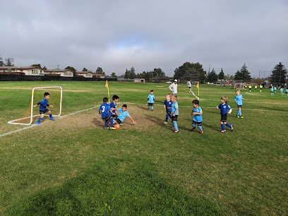 Soccer Field image 1
