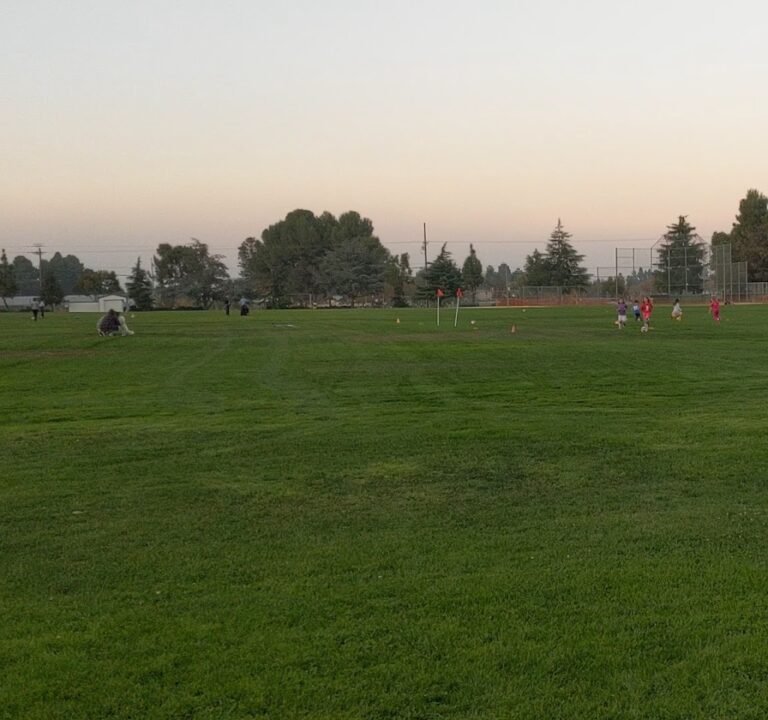 Soccer Field image 4