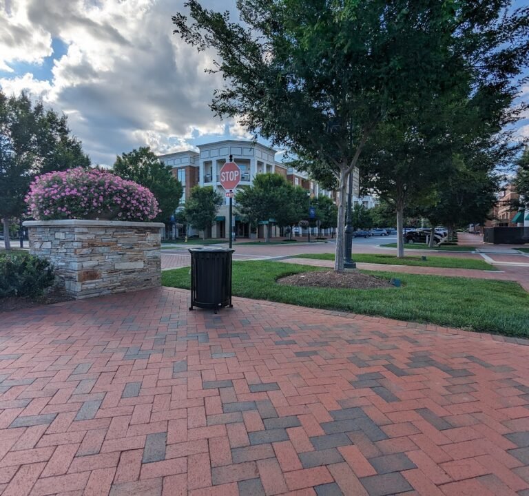 Soccer Field image 2