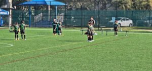 Soccer Field image 1