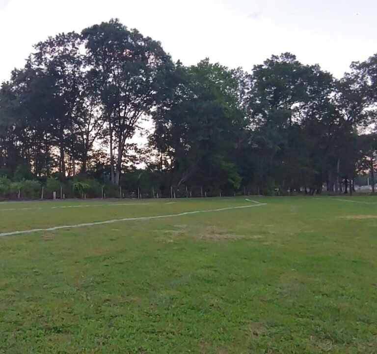 Soccer Field image 4