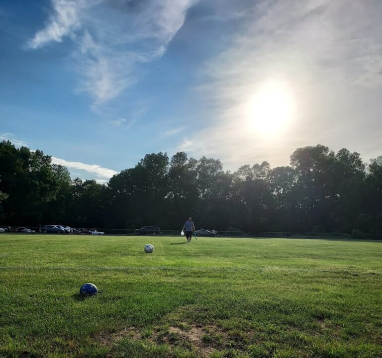 Soccer Field image 2