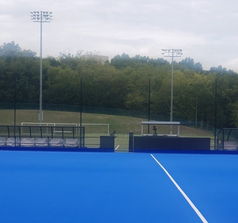 Soccer Field image 2