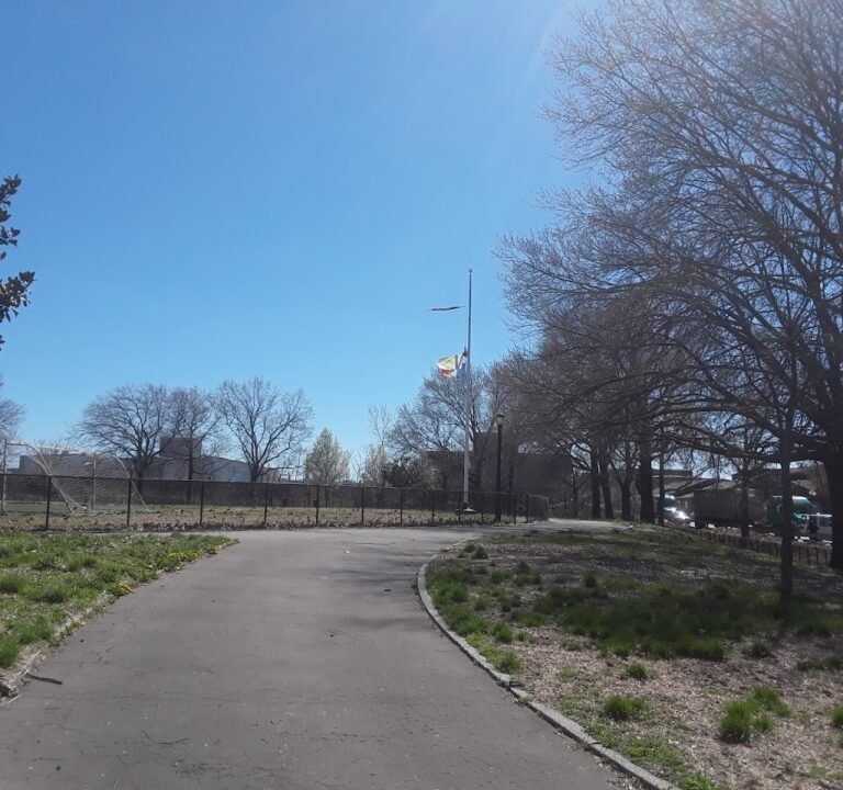 Soccer Field image 2