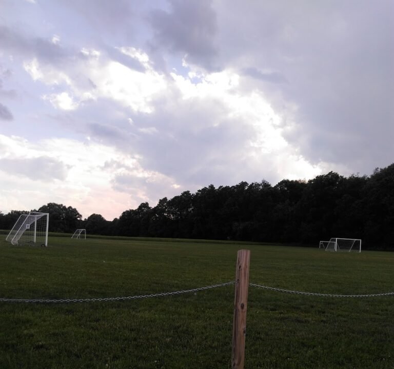 Soccer Field image 2