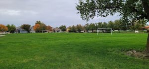 Soccer Field image 1
