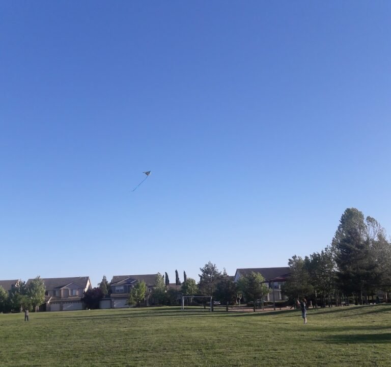 Soccer Field image 2