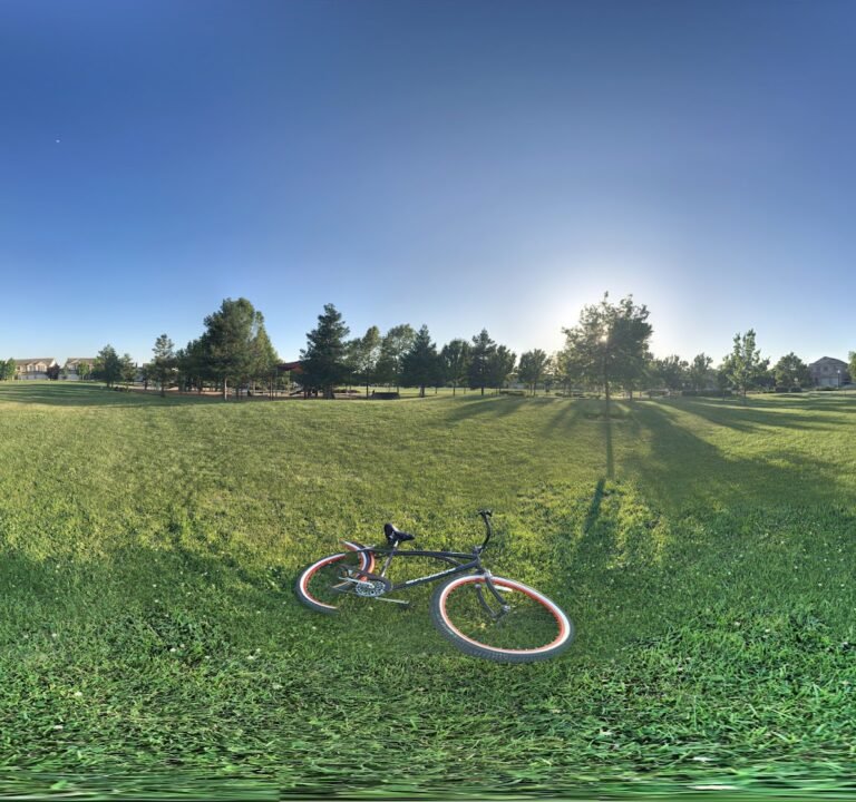 Soccer Field image 3