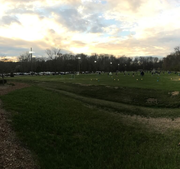 Soccer Field image 2