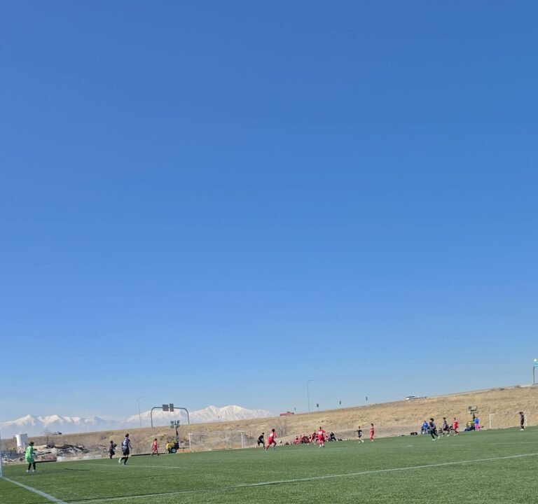 Soccer Field image 3