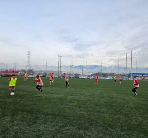 Soccer Field image 2