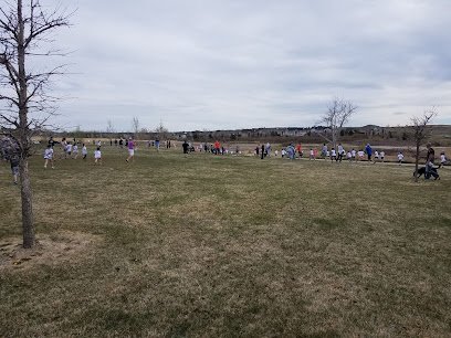 Soccer Field image 1