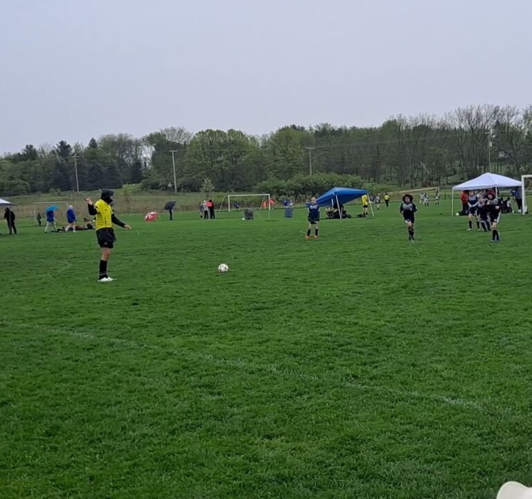 Soccer Field image 4