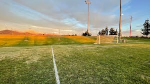 Soccer Field image 1