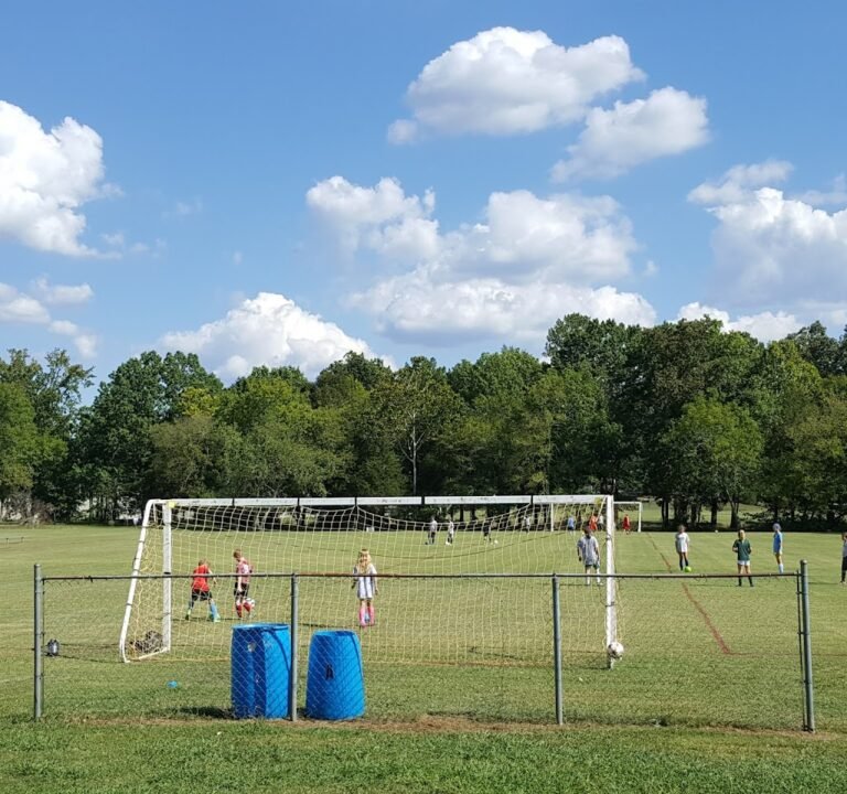 Soccer Field image 2