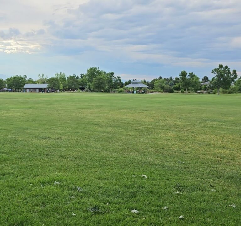 Soccer Field image 4