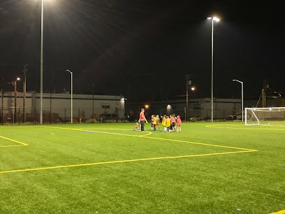 Soccer Field image 1