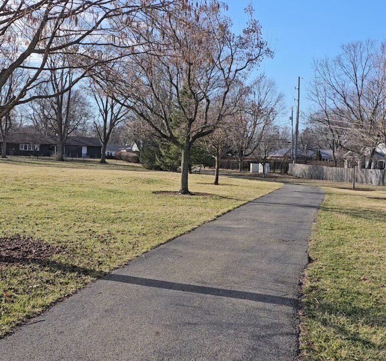 Soccer Field image 3