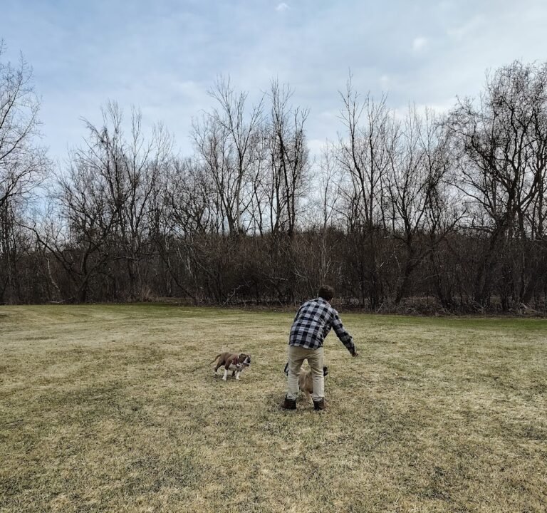 Soccer Field image 3