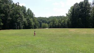 Soccer Field image 1