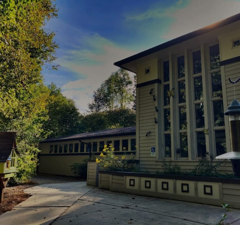 Soccer Field image 2