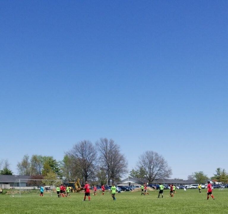 Soccer Field image 2