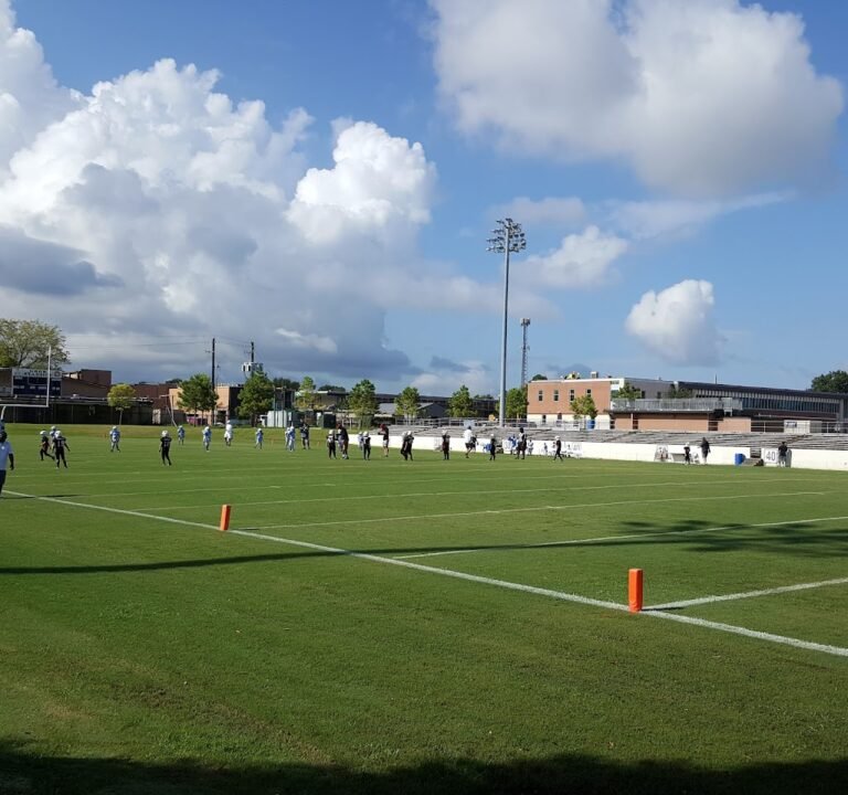 Soccer Field image 2