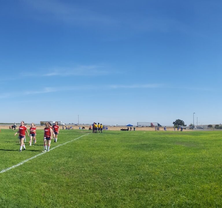 Soccer Field image 3