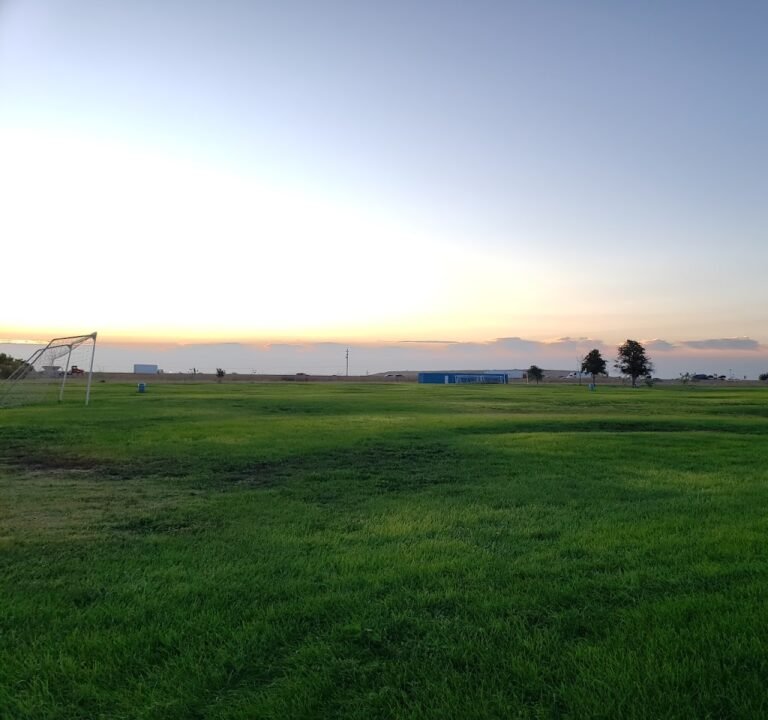Soccer Field image 2