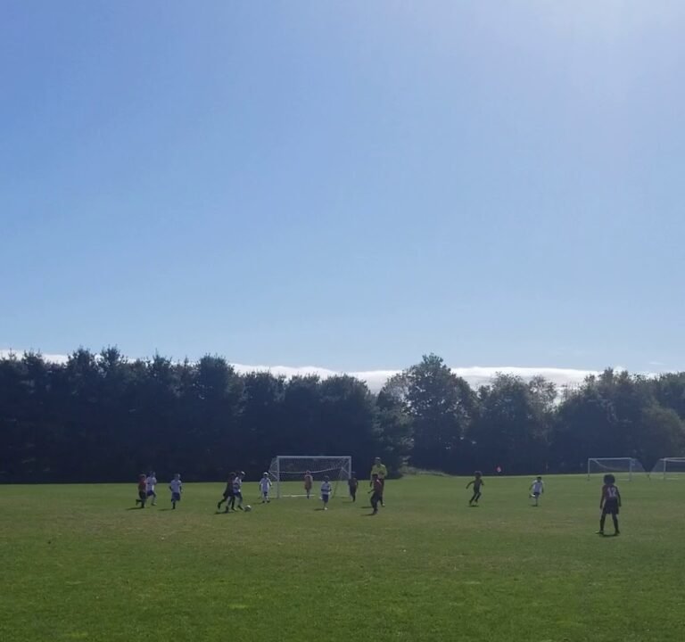 Soccer Field image 2