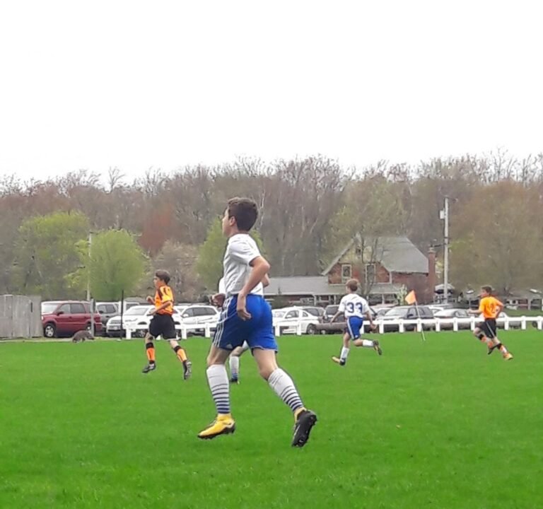 Soccer Field image 3