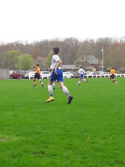 Soccer Field image 1