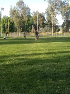 Soccer Field image 1