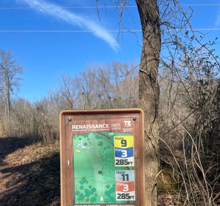 Soccer Field image 3