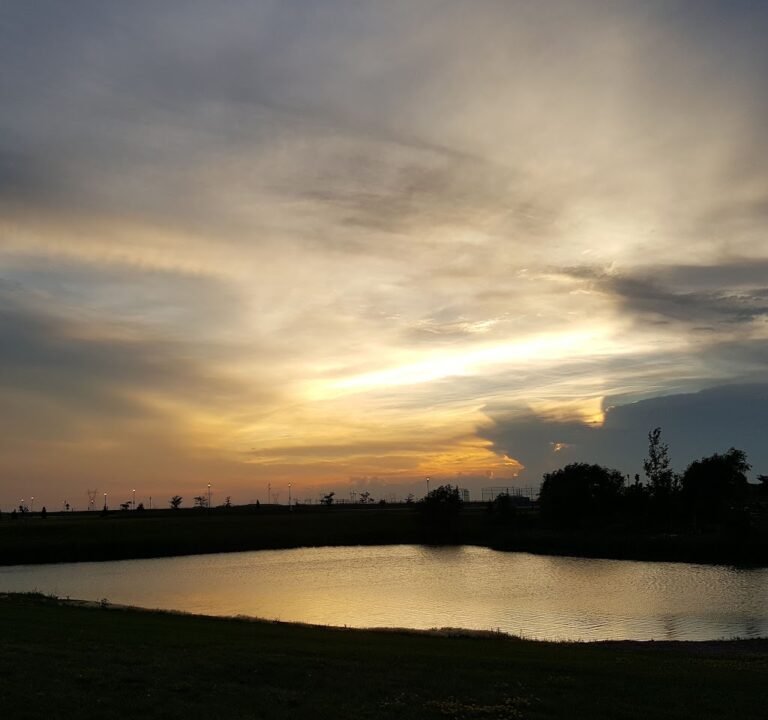 Soccer Field image 3