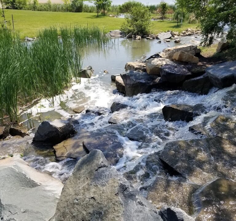 Soccer Field image 2