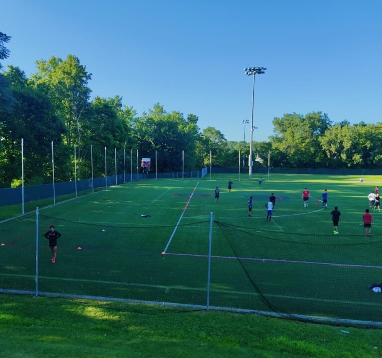 Soccer Field image 2