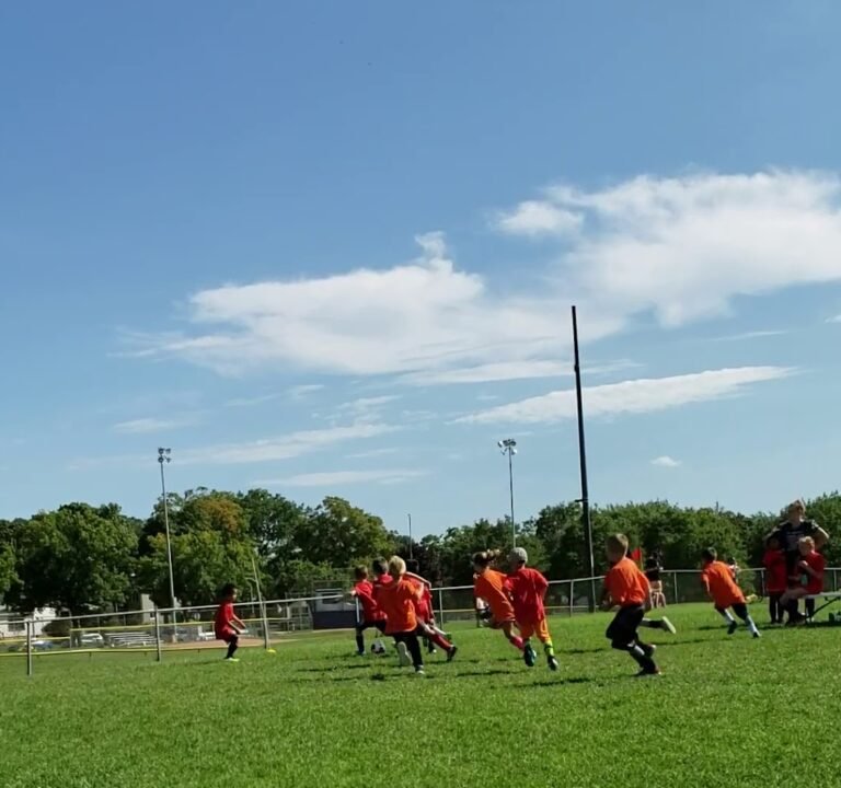 Soccer Field image 3