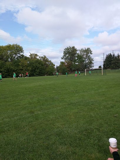 Soccer Field image 1