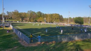 Soccer Field image 1